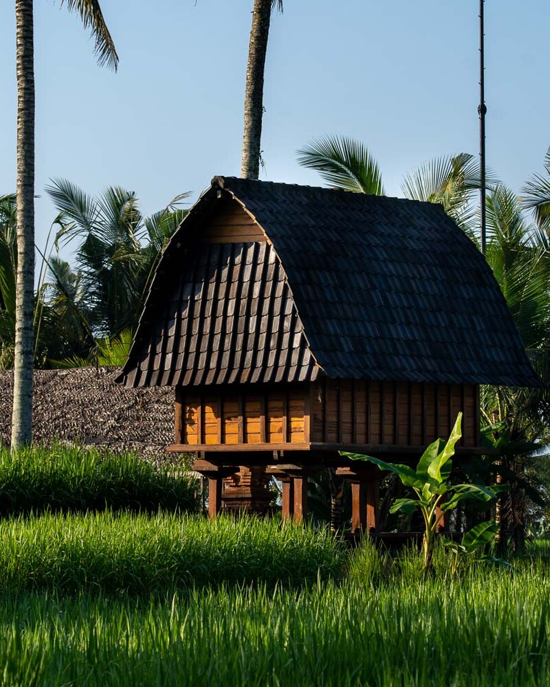 Traditional Balinese architecture: a lumbung granary on stilts, surrounded by rice fields
